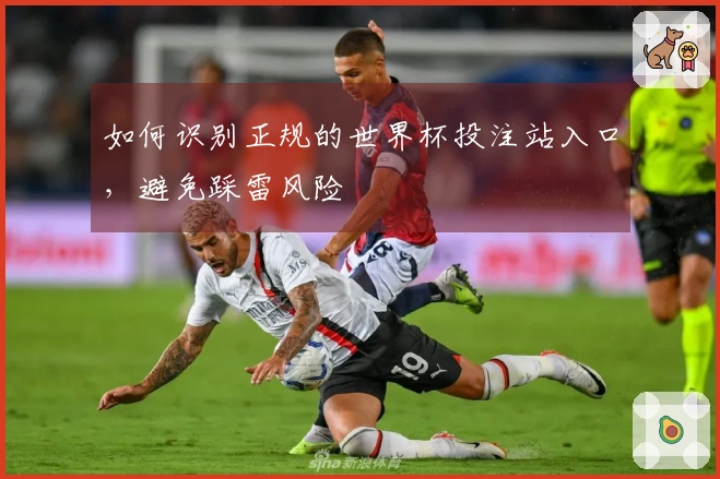如何识别正规的世界杯投注站入口，避免踩雷风险