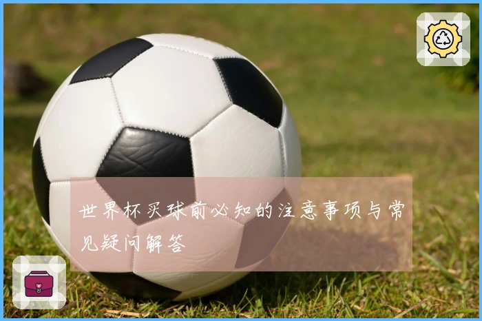 世界杯买球前必知的注意事项与常见疑问解答