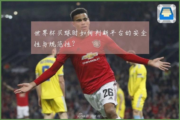 世界杯买球时如何判断平台的安全性与规范性？